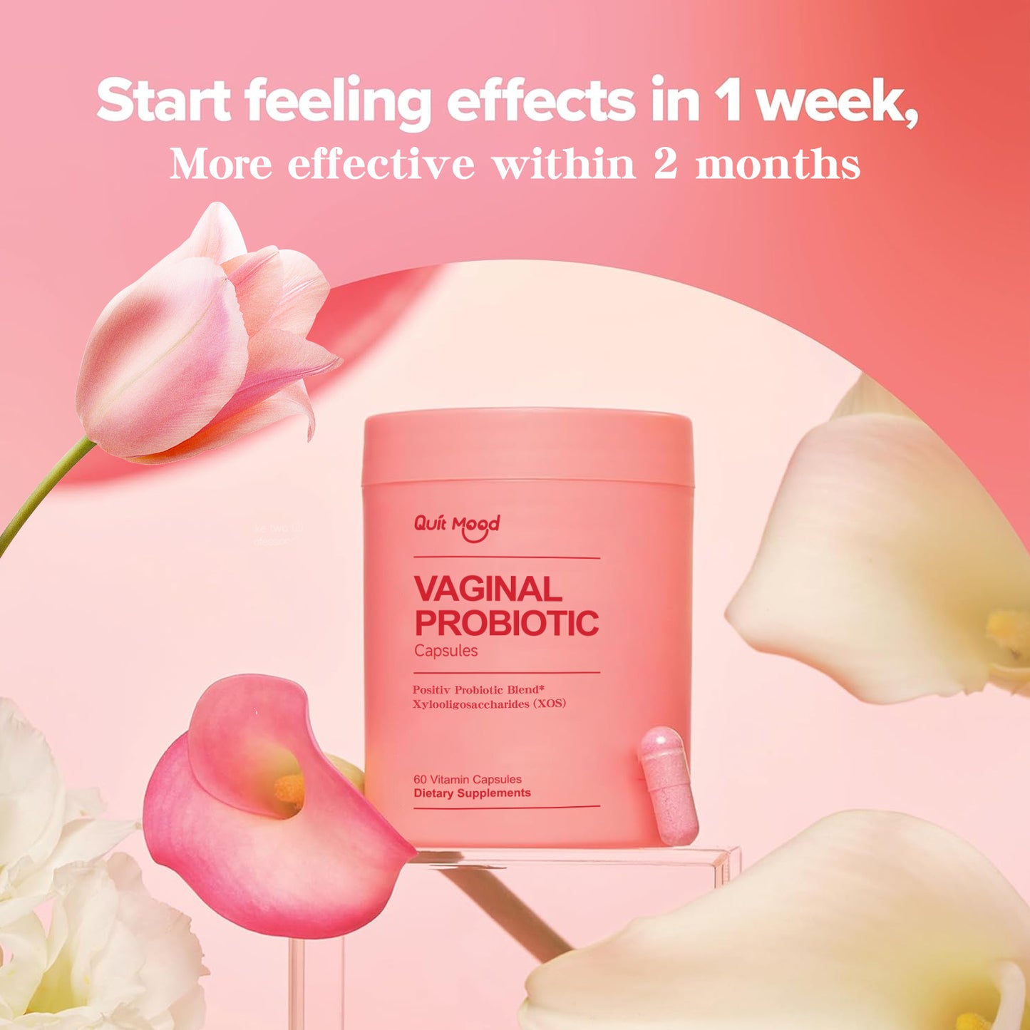 Probiotics for Women: PH Balance & Lactobacillus Blend